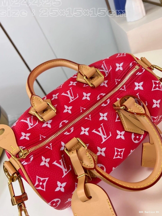 Aaa replica bags SPEEDY Vuitton Louis 25 0729